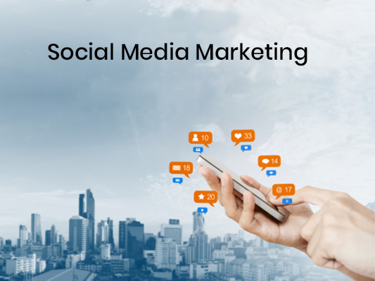 Use Social Media Marketing in Snohomish for Real Leads